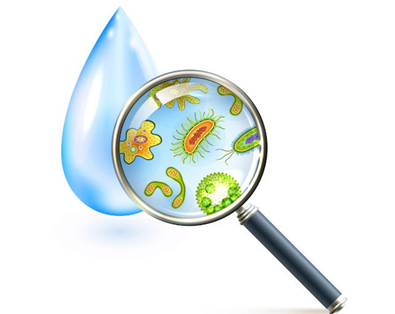 Sellnhanh-Nguy Cơ nước tái nhiễm bản