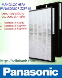 Hepa PANASONIC F-ZXDP40